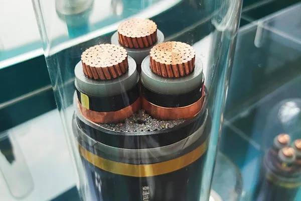 விரிவான சேவை ஆதரவு