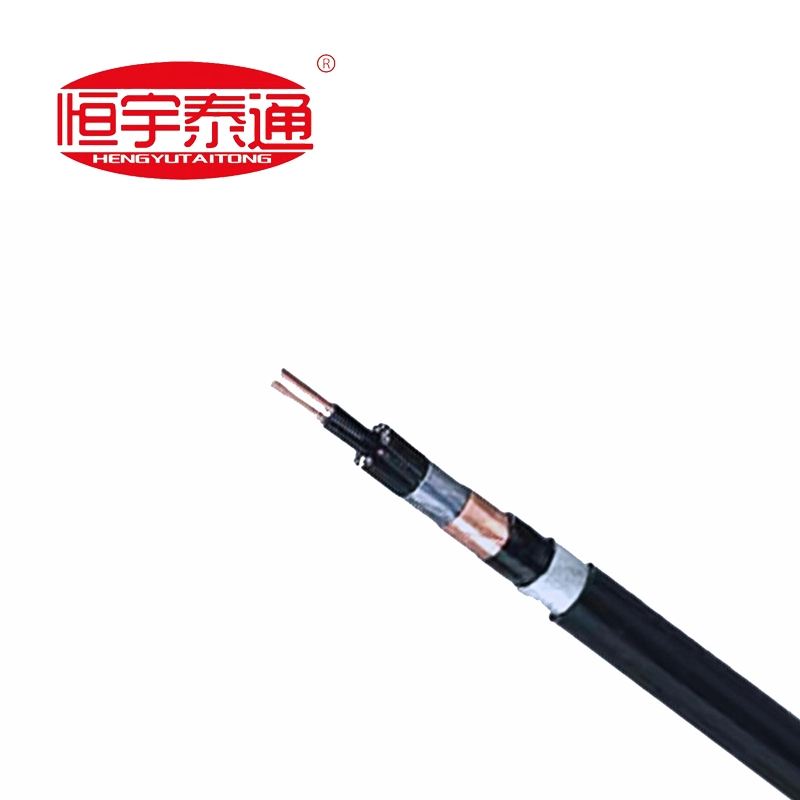 ஃப்ளோரோபிளாஸ்டிக் இன்சுலேட்டட் வெப்ப எதிர்ப்பு சிறப்பு கேபிள்கள்